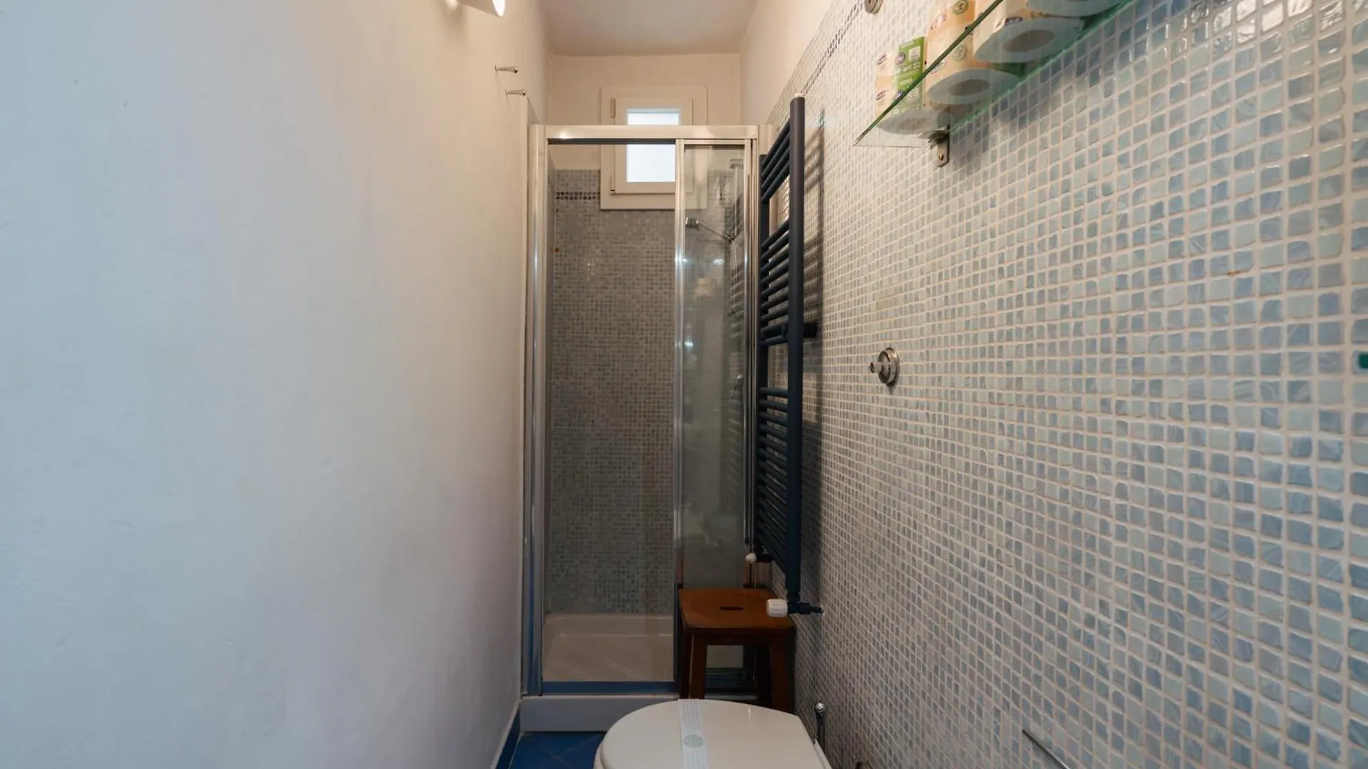 Charming Apartment In The Heart Of Santo Spirito Florence