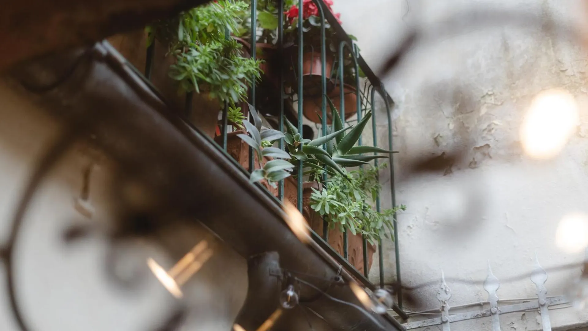 Charming Apartment In The Heart Of Santo Spirito Florence 0*,